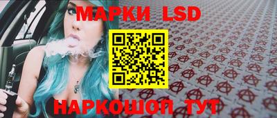 крисы Моздок