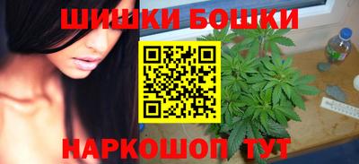 крисы Моздок