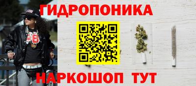 крисы Моздок