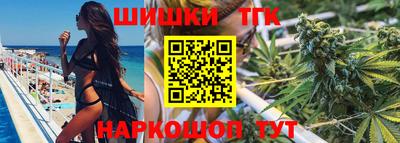 крисы Моздок