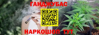 крисы Моздок