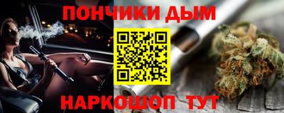 крисы Моздок