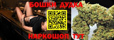 крисы Моздок