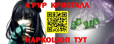 крисы Моздок