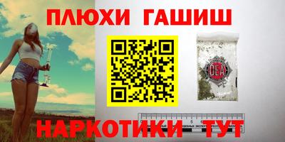 крисы Моздок