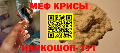 крисы Моздок
