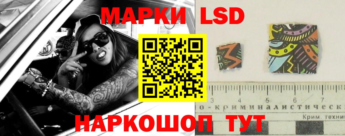 Будённовск  Лсд 25 экстази кислота  Лсд 25 экстази кислота  Вход с VPN 