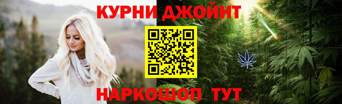 Бошки Шишки Ganja  Марихуана конопля  Вход с VPN  Будённовск  Конопля сатива 